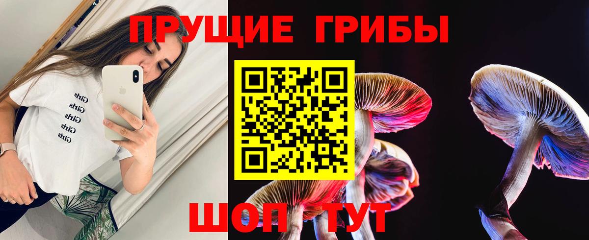 Искитим  Псилоцибиновые грибы мицелий  Вход с VPN 